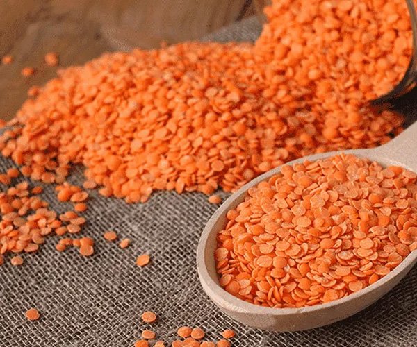 Untitled-2sfsfsdfsdf